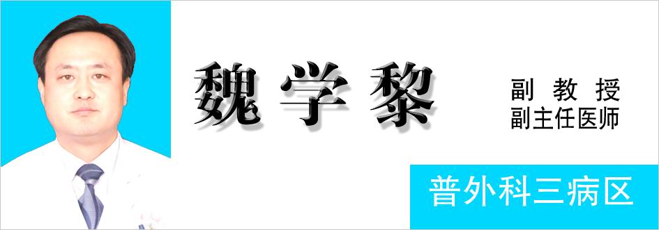 魏学黎